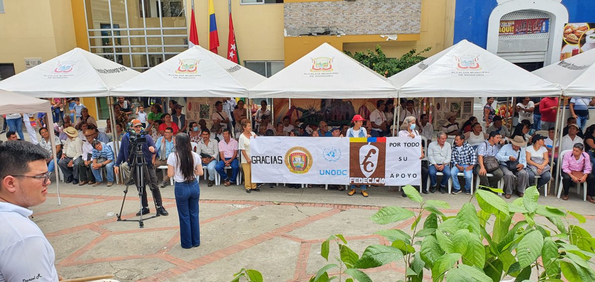 fedecacao's tweet image. #AEstaHora desde el municipio de Rionegro (Santander), evento de entrega de insumos del proyecto para el incremento de la productividad del cultivo de cacao, entre @GobdeSantander @UNODCROCOL y @fedecacao