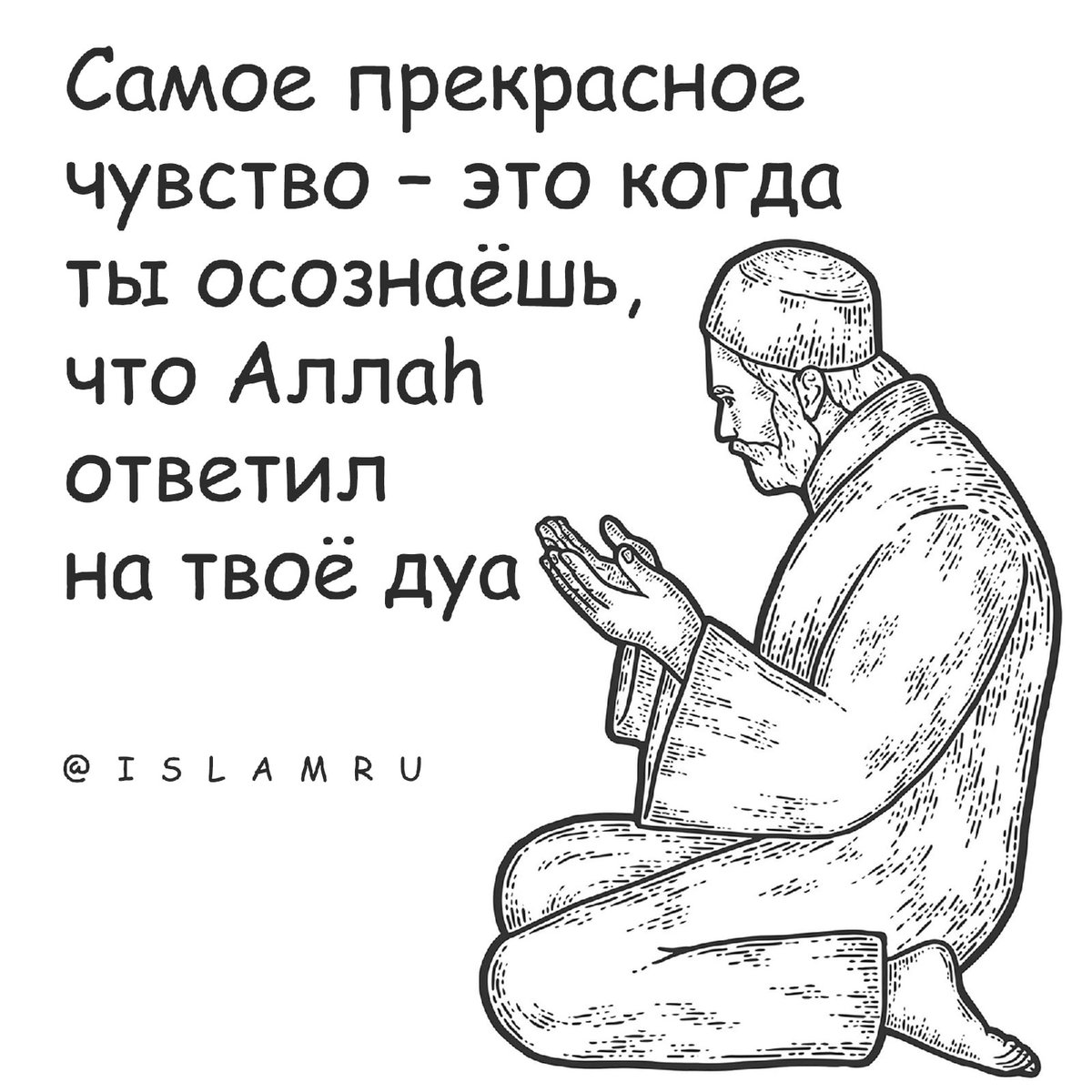 musslimat's tweet photo. https://t.co/ZsdNCV9IlQ