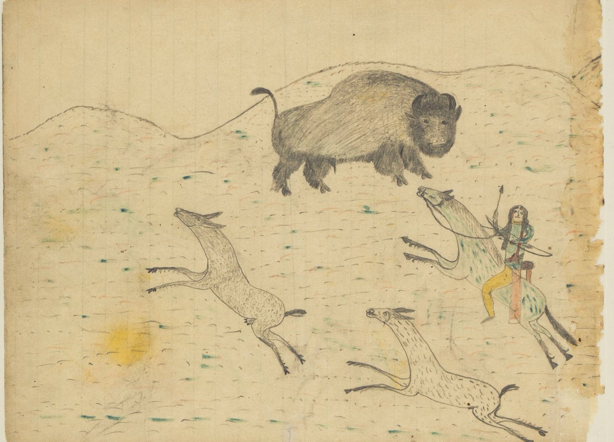 Pictured here are Kiowa ledger drawings that were likely created by warrior artists during the early reservation period (ca. 1880-1890). They were drawn with colored & graphite pencils on leaves removed from an ordinary, blue-ruled writing tablet. [VAULT Ayer MS 3228] #NAHM