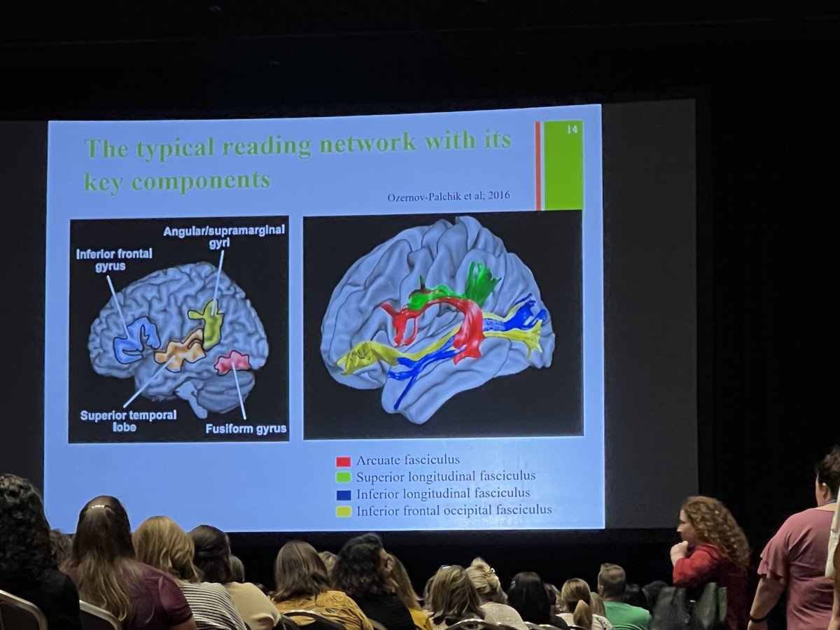 Devin Kearns tweet media