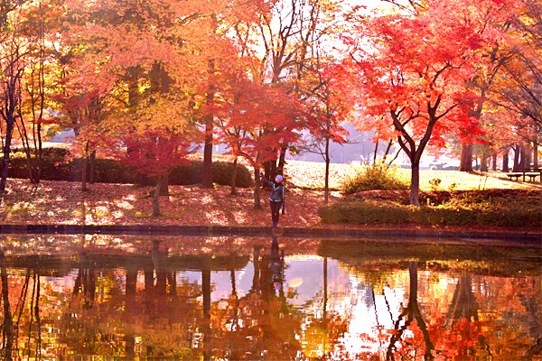 ー　山　紫　水　明　ー

五月雨江:翔
撮影:とーかさん(<a href="/tohka00/">とか🐾</a>)