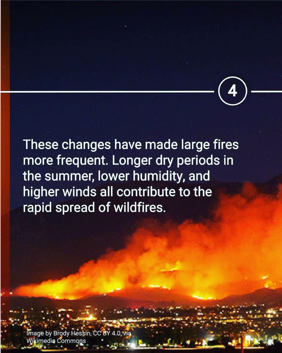 WePlant Foundation tweet media