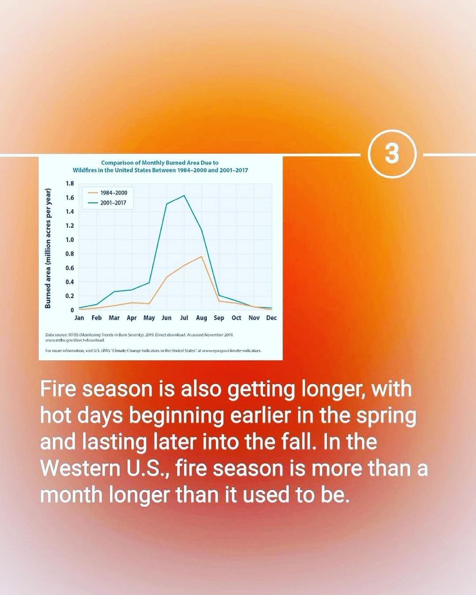 WePlant Foundation tweet media