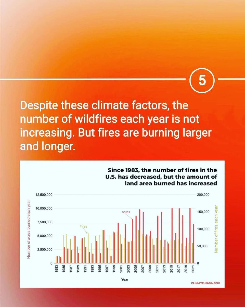 WePlant Foundation tweet media