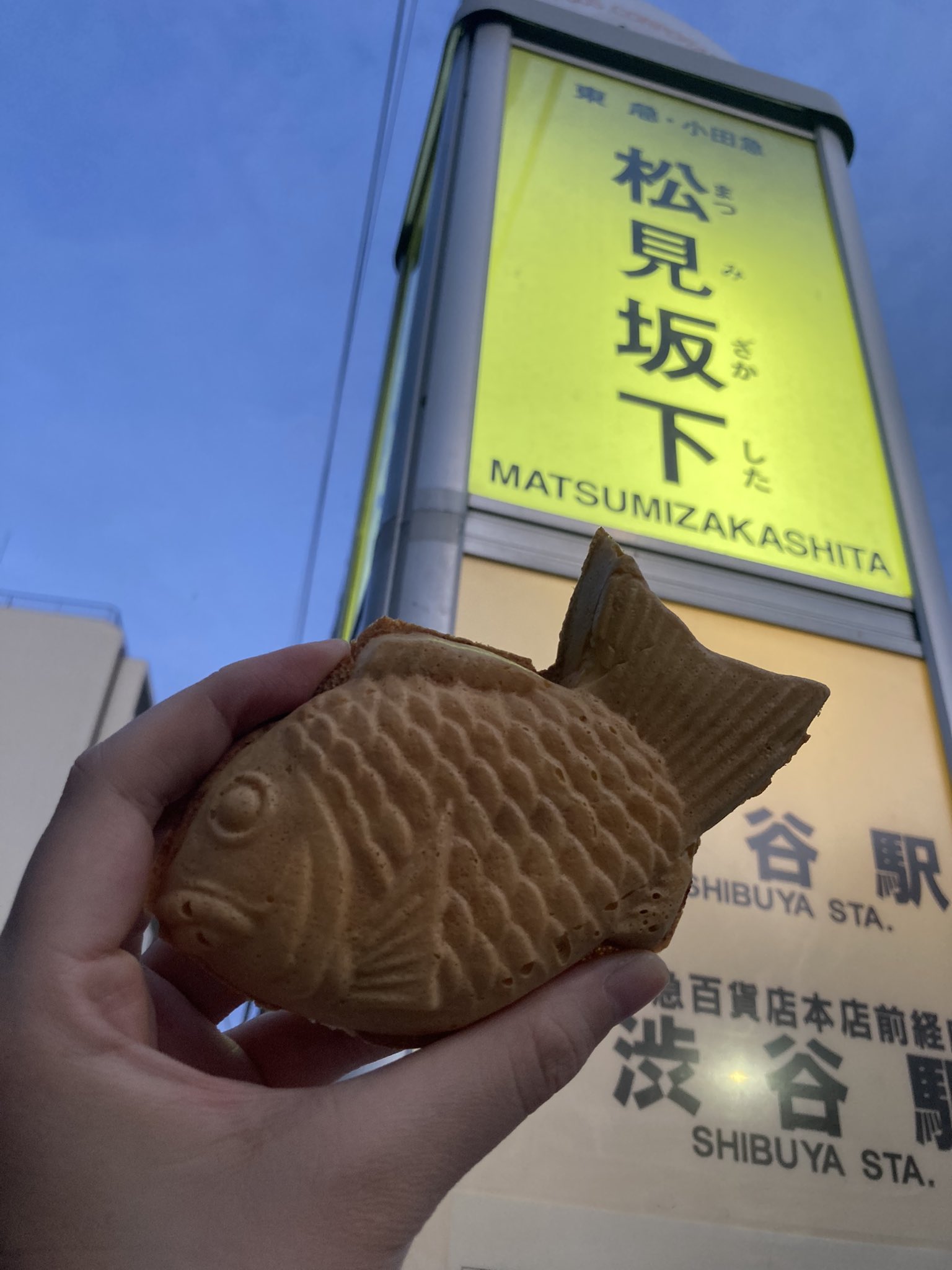 上質風合い 専用 たいやき様専用 - morikawashoji.co.jp