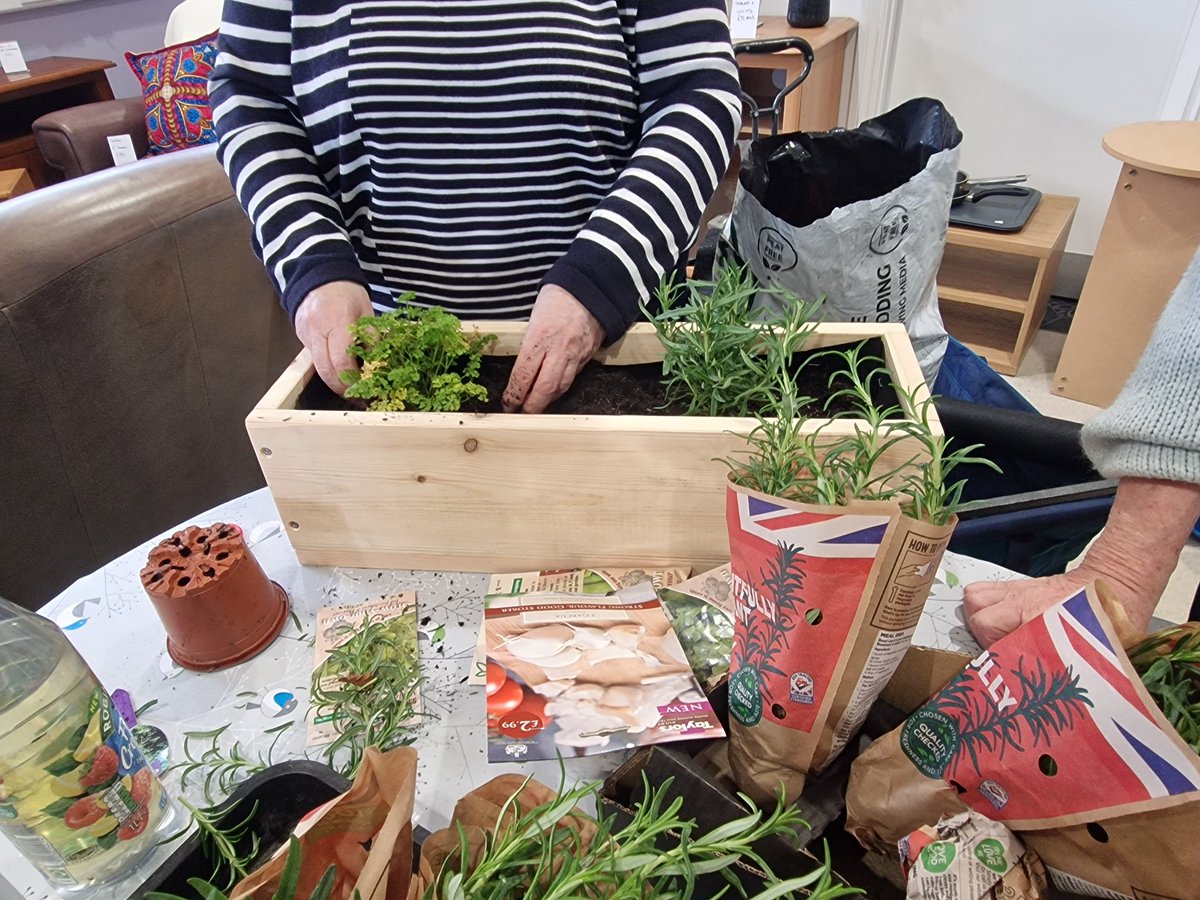 MenziesMo's tweet photo. Veg ledge fun at Armadale Resource Centre
Brilliant fun whilst learning.
 @RHSSchools @RHSBloom https://t.co/6r522H7NOu