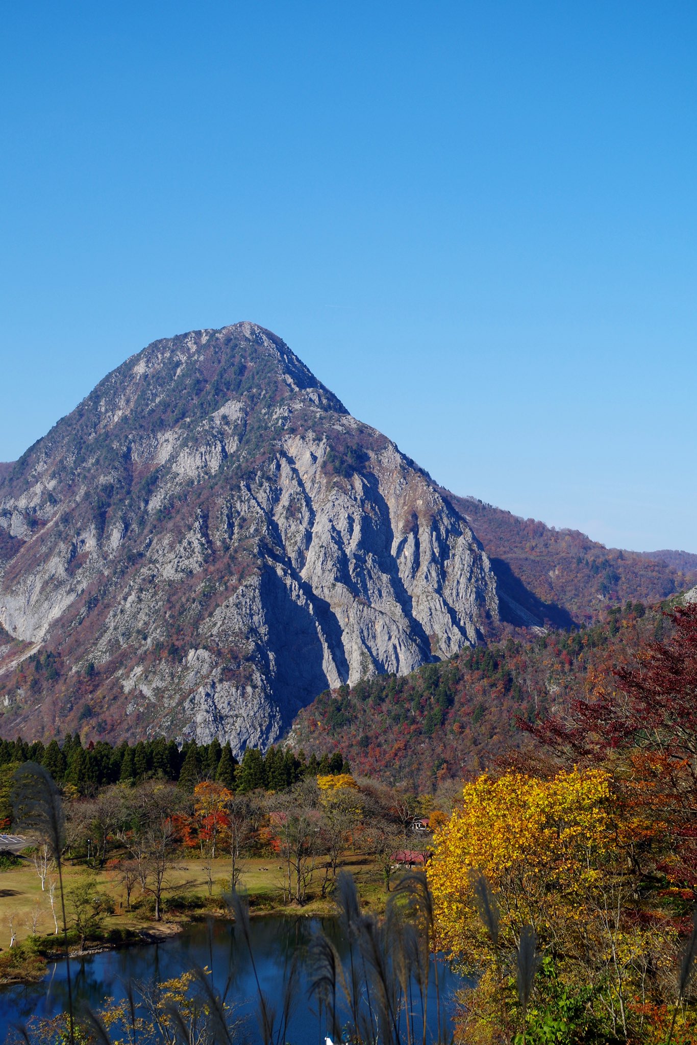 明星山 Twitter Search Twitter