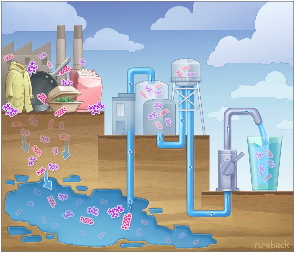 Sean C. Lucan, MD tweet media