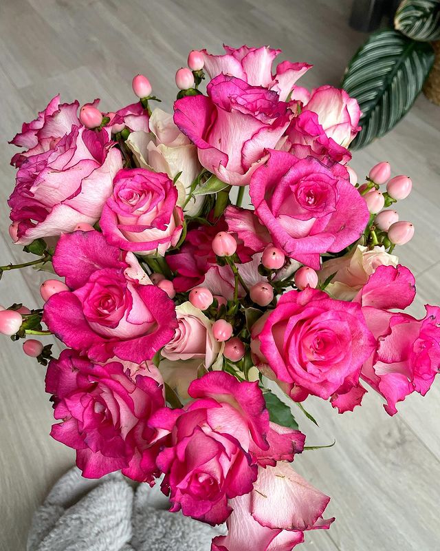 SerenataFlowers's tweet image. W I N 🌸

You can win this gorgeous Strawberry Delight bouquet (or another bouquet from our Autumn collection) for yourself or someone special in your life 💕

Enter here  👉 instagram.com/p/Ckx-iKpj0gh/