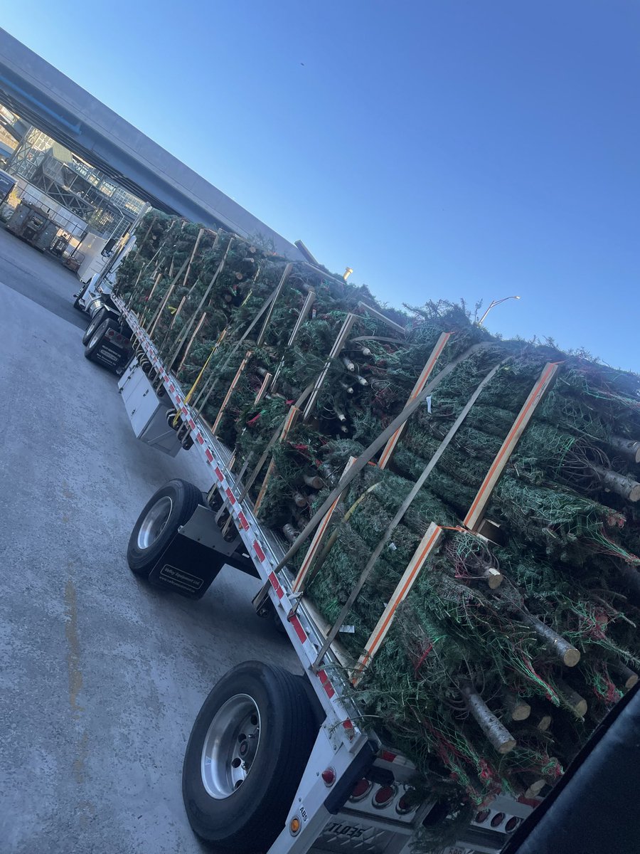 It’s beginning to look a lot like Christmas 🎄🎄