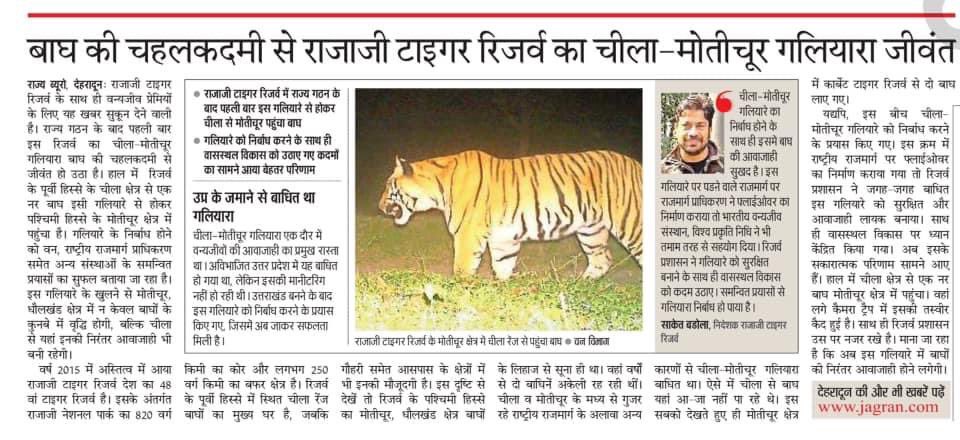 Conservation successes often take long to come, but when they do they bring rare happiness and real satisfaction.
Multi-agency efforts &amp; hard work finally paid when a tiger crossed the Chilla-Motichur corridor after almost 2 decades. Great day for #RajajiTigerReserve &amp; #Wildlife.