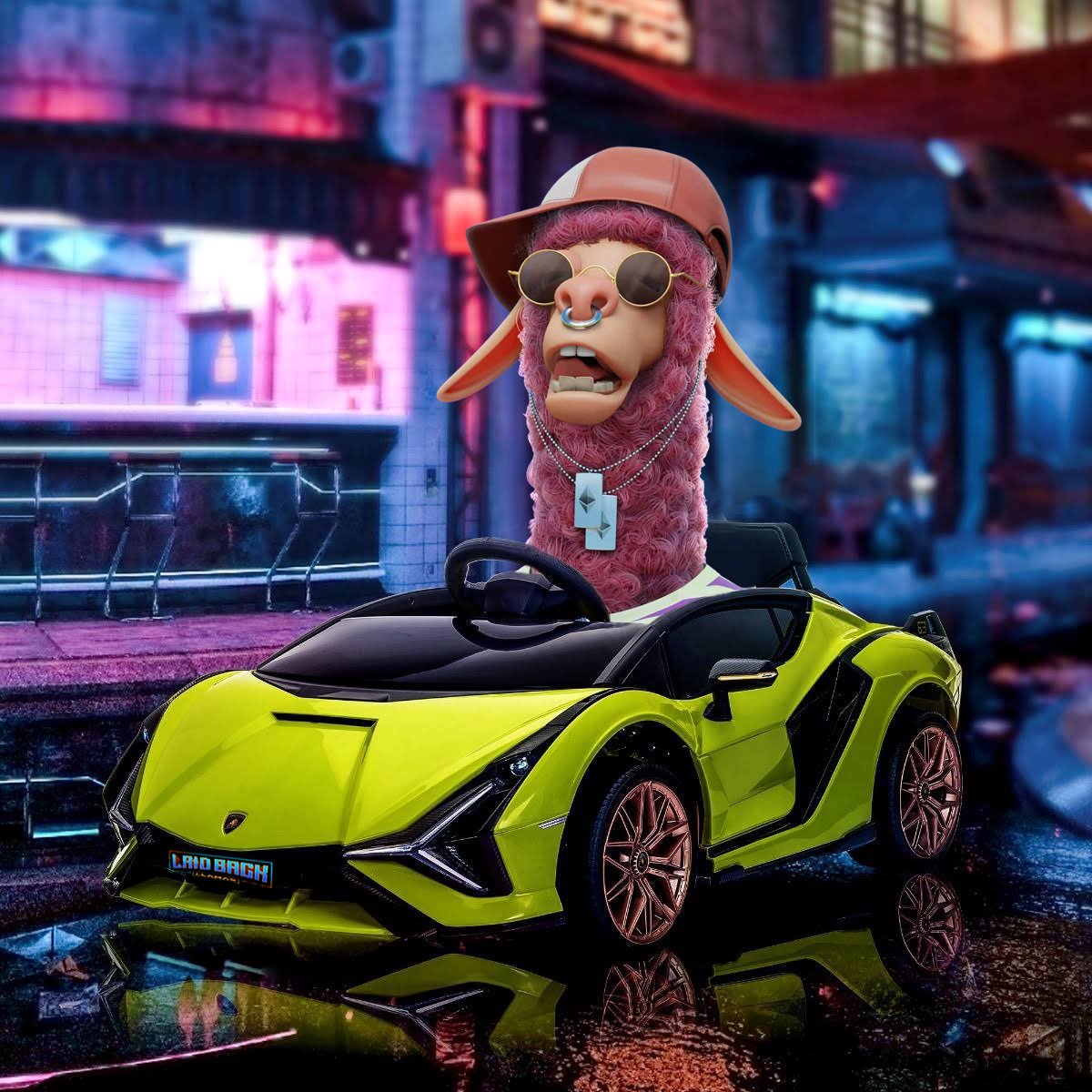 Ride with the <a href="/LaidBackLlamas/">Laid Back Llamas</a> The herd rides together! #LBL 

Thx @gh24life