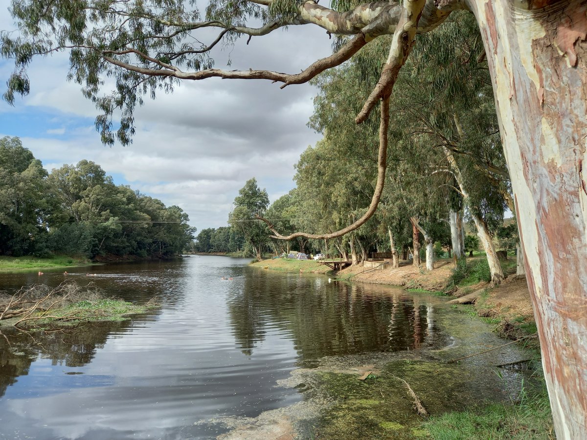 Caravan & Outdoor Life tweet media