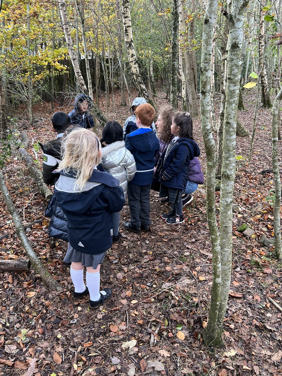 Mearns_Primary's tweet photo. Today our Global Citizenship reps, Sustainability reps and Prefects met with Marion, our Landscape Architect, to develop our woodland area as part of the Spark Park. @UPioneers @ArcDesSco #PupilVoice https://t.co/X4ljSi1t2x