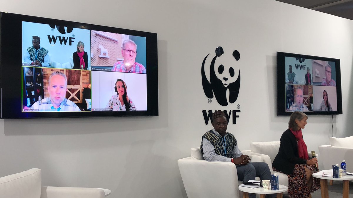 WWFLeadForests's tweet photo. Thank you to all our speakers and those who joined online to watch our Forests Forward event.
@WWFForestCarbon @WWFBetterBiz @JamesMcCall_HP @HP @IKEA
If you missed the live, you can rewatch the stream here: https://t.co/23VFFBvYOz
#COP27 #ForestsForward https://t.co/qmKJTFccHK