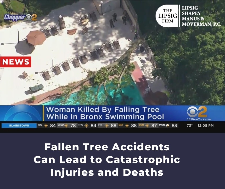 Fallen Tree Accidents Can Lead to Catastrophic Injuries and Deaths
Trees are vital to our lives because they produce oxygen, provide shade, enhance the scenery, and can be used for various purposes, such as for food, lumber, and...
Learn more: bit.ly/3WRzHhk