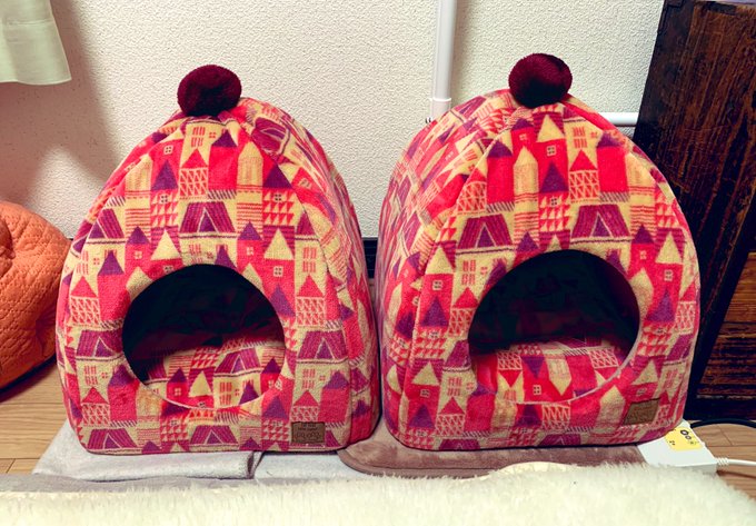 建て増しされました。ダブルで入るのはいつかおやすみなさい。皆様ありがとうございます。ワークショップのお席、まだ空きがあるのでご検討くださーい。 