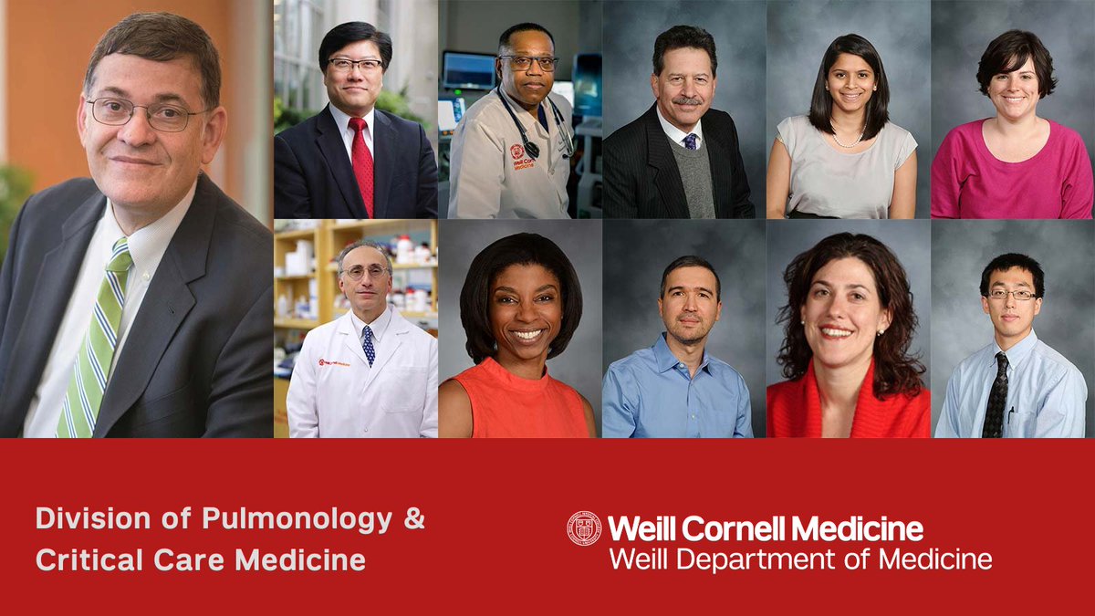 November is COPD Awareness Month! The Division of Pulmonary and Critical Care Medicine is home to a robust research program on COPD and related lung diseases. Read more: bit.ly/3WTvBF6