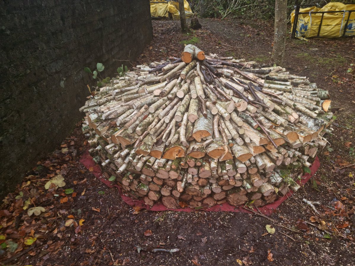 doctorcaldwell's tweet image. @inveresregan @CarolynFahm @bluerhodfa 

#Hatstack shaped #Woodstack 

Plenty wind today to start the drying process!