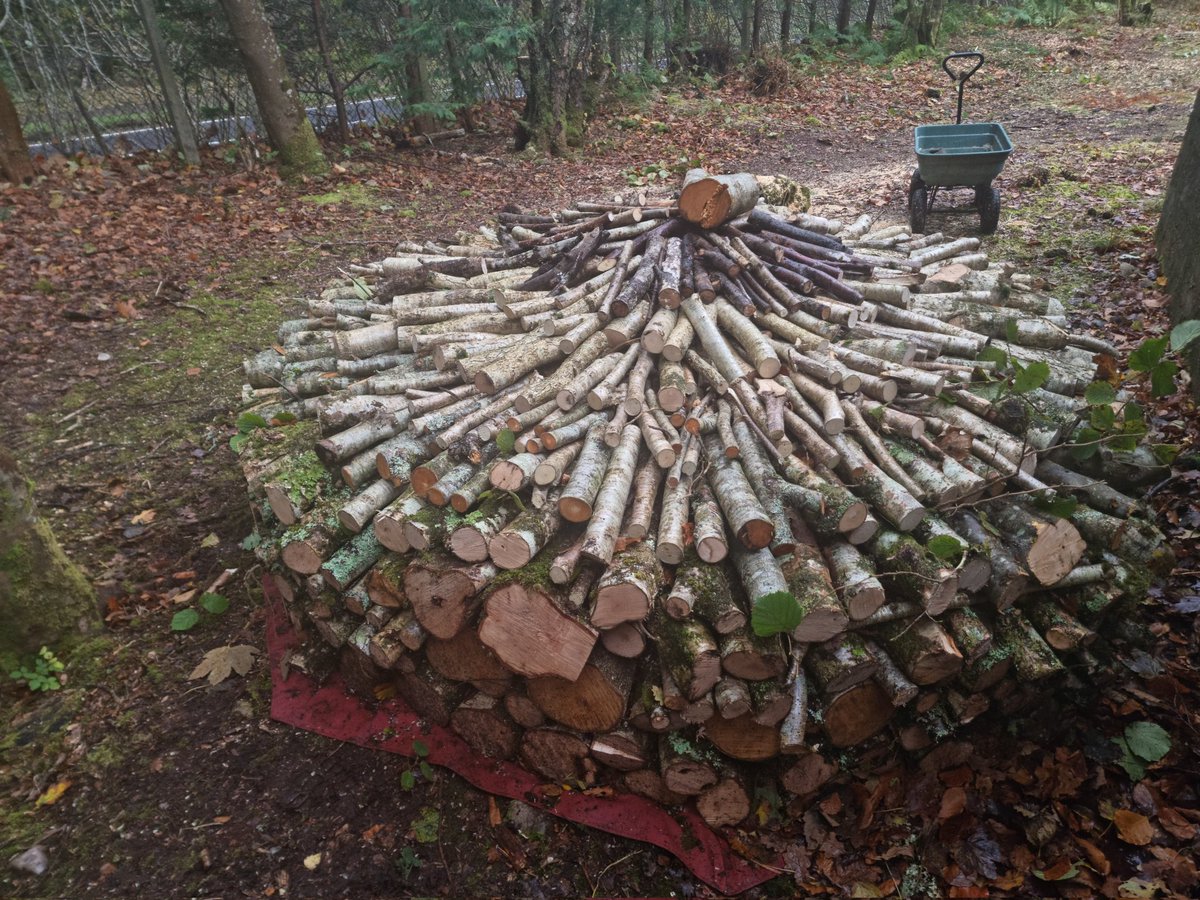 doctorcaldwell's tweet image. @inveresregan @CarolynFahm @bluerhodfa 

#Hatstack shaped #Woodstack 

Plenty wind today to start the drying process!