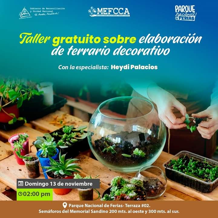 CarolinRespald1's tweet photo. ¿Sabés que es un
"Terrario Decorativo"?
Interesante,🤔
Vení al taller "Elaboración de Terrario Decorativo", impartido por la especialista Heydi Palacios en el Parque Nacional De Ferias, terraza número 2.
Inscribíte aquí 👇🏾
https://t.co/PXoyWHrTao
Te invita; #Mefca Nicaragua https://t.co/LT53sZItbQ