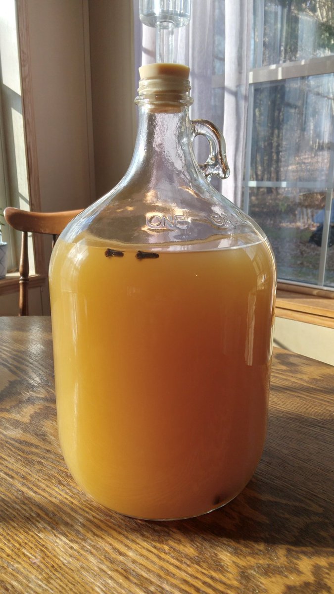 KnightDivining's tweet photo. Cinnamon Cyser racked into a carboy for clearing & aging. Added a cinnamon stick & 2 cloves as well. Will remove the spices in a week or so. Aging & clearing may take a few months. Patience is the hard part now ๐
#mead #cyser #meadmaking #meadmaker #homebrewing #nectarofthegods https://t.co/ElLjpgkiVR