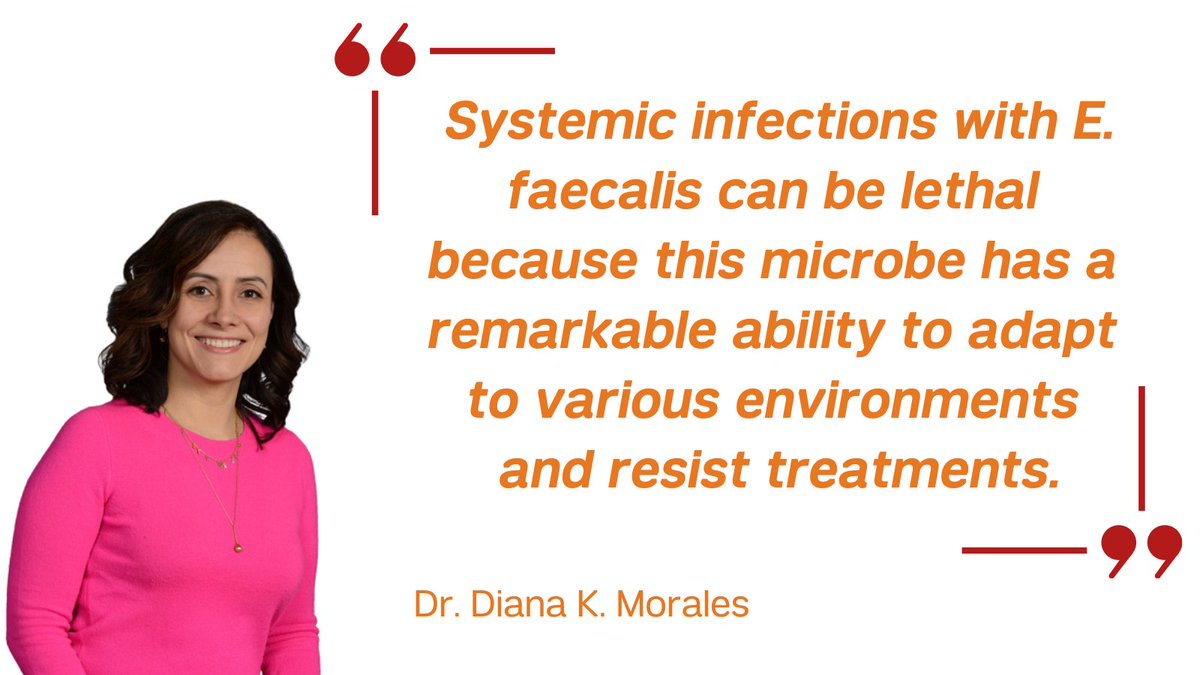 A study led by Dr. Diana K. Morales (<a href="/dianakmoralesg/">Diana K. Morales</a>) and Dr. Yusibeska Ramos
(<a href="/Yusibeska/">Dr. Yusibeska Ramos</a>) of <a href="/WCM_OBGYN/">Weill Cornell Medicine Ob/Gyn</a> illuminates how a common gut bacterium that causes serious infection resists antibiotics and immune defenses and spreads to other parts of the body. 

bit.ly/3DU0znQ