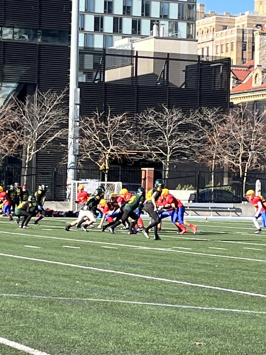 Lisa Lascelles tweet media