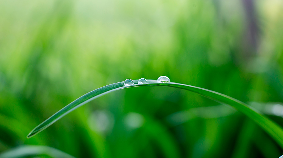 LectaGroup's tweet image. Lecta recovers positive pre-pandemic trends in its environmental parameters lecta.com/en/news/Pages/… #lecta #sustainability #lectacommitment