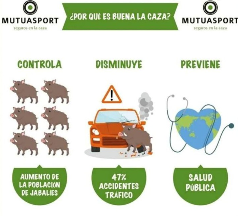 #repost... <a href="/Mutuasport/">MUTUASPORT</a> 
.
.
La caza es beneficiosa para todos, os dejamos algunas razones.