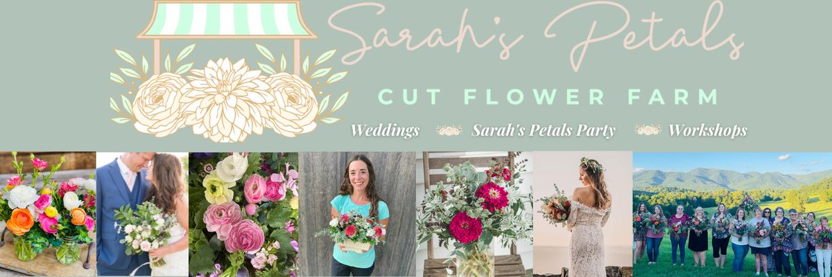 @risingtidesoc Greetings!  Myself and <a href="/SarahsPetals/">Sarah's Petals</a> attending a #RisingTide meeting last evening in #Roanoke #VA  Looking forward to making new connections &amp; networking to grow Sarah's #wedding floral business in 2023!
Invite folks in the #BlueRidge #Virginia to visit her website