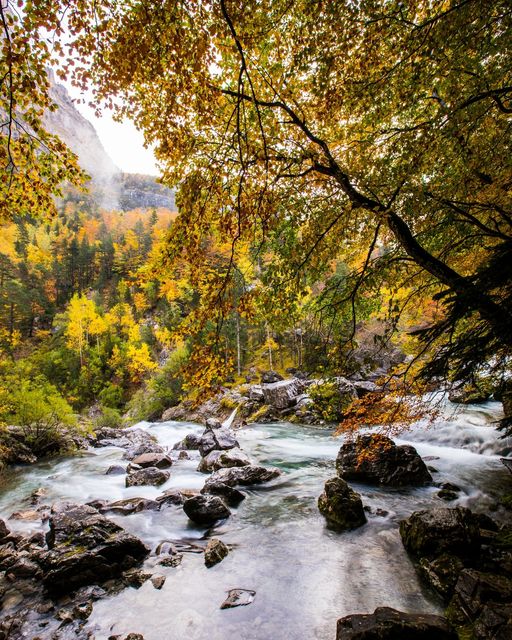 Huesca_LaMagia's tweet photo. En #otoño 🍁🍂🤎 todo el magia en el parque nacional de #Ordesa. Si o si, tienes que venir a conocerlo 🥰.
📲 Descárgate nuestra app y prepara tu viaje a Huesca 👉 https://t.co/DHPC6m2J0O 👈
#otoño #escapada #pirineos #huescaturismo #Huesca #turismohuesca #visitspain https://t.co/lwYCwwPs3a