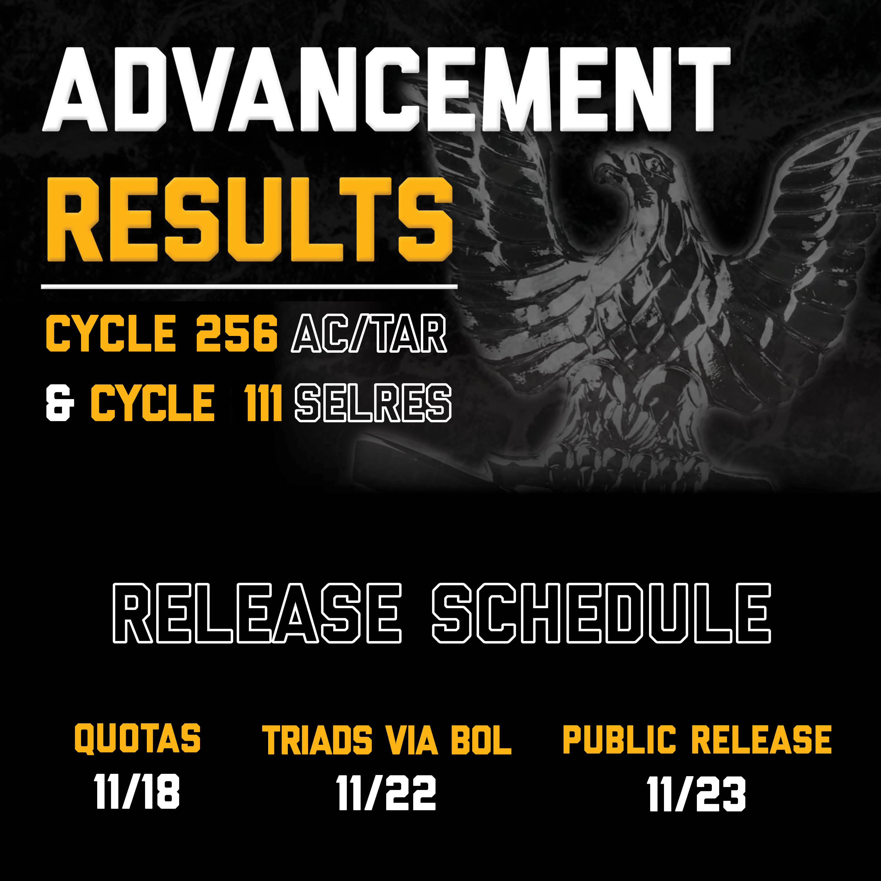 navy advancement quotas 2021 cycle 251 Bunny Rea