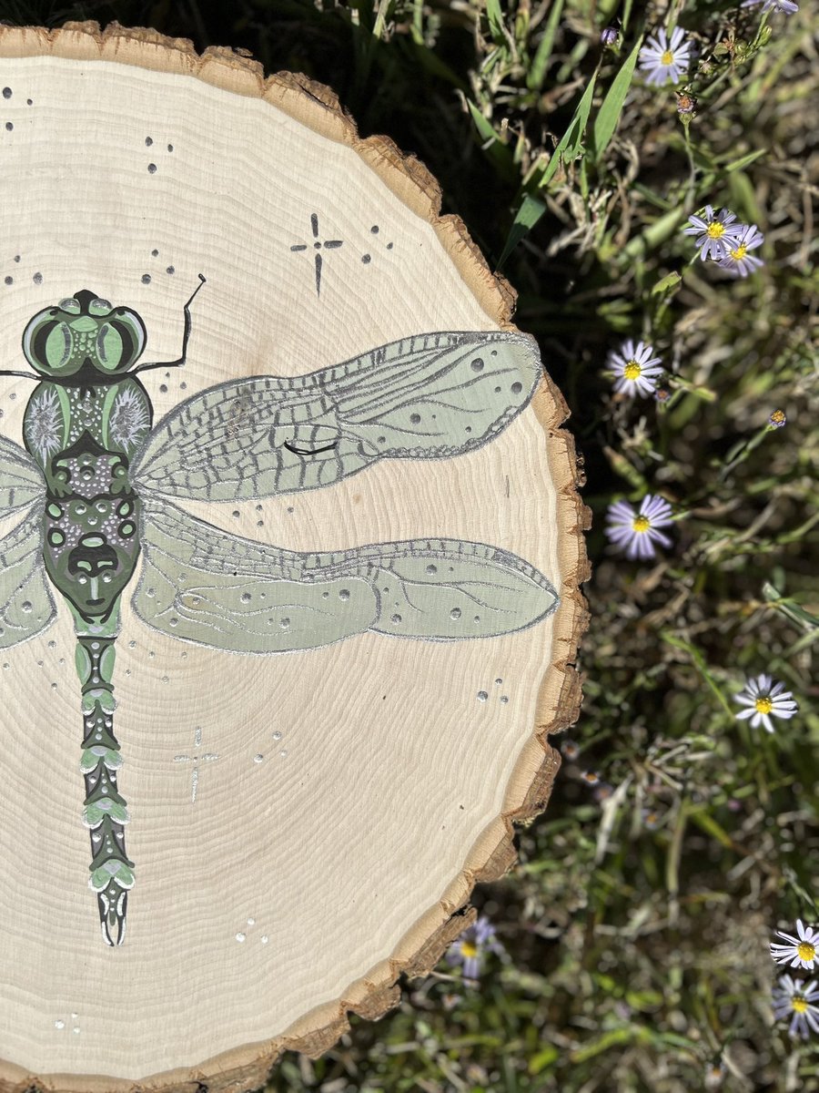 swampsprouts's tweet photo. a custom dragonfly i just finished 🥹 now to add the resin coating &amp; ship her off to her new home 💚 https://t.co/fPzx0Y9eqr