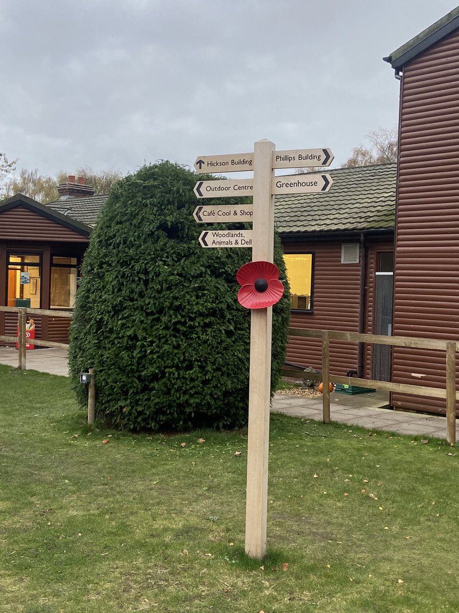 Petty Pool College (@pettypoolcoll) on Twitter photo Celebrating Remembrance Day at <a href="/PettyPoolColl/">Petty Pool College</a> with our wonderful handmade sustainable poppies and service led by our learners #proudtobePettyPool #RemembranceDay Celebrating Remembrance Day at <a href="/PettyPoolColl/">Petty Pool College</a> with our wonderful handmade sustainable poppies and service led by our learners #proudtobePettyPool #RemembranceDay