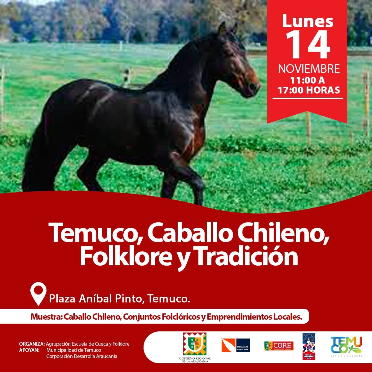🐴 Muestra Caballo Chileno 🇨🇱 🐎
🐴 Conjuntos folclóricos 💃🏼
🐴 Emprendedores locales 🔨

🐴 Te esperamos este lunes 14 de noviembre desde las 11:00 a las 17:00 horas ⏰ en la Plaza Aníbal Pinto, Temuco 📍
 #Temuco #Caballos #CaballoChileno