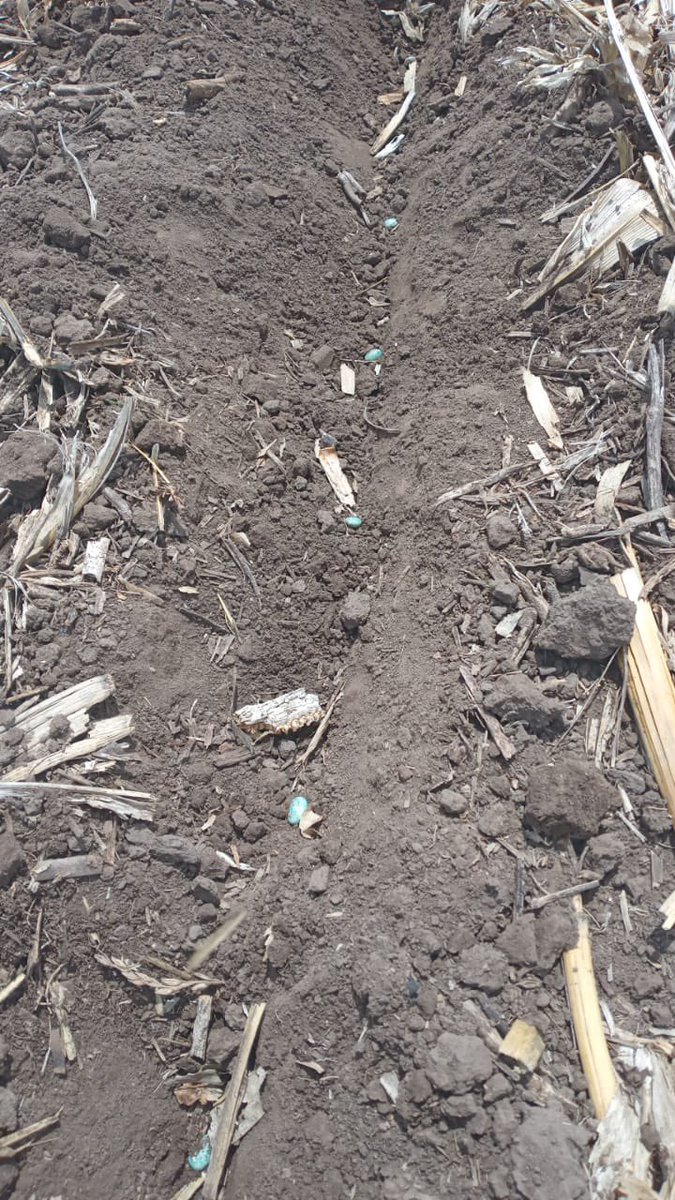 Zona Núcleo. Largamos Siembra de soja variable con Precisión Planting Gen3.