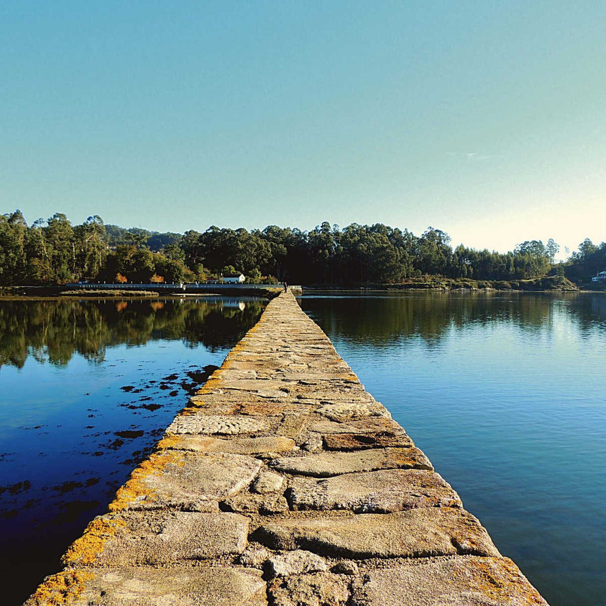 Plan para o finde? 

Percorrer as Salinas do Ulló! 🚶

É un roteiro ideal para realizar con nenos, apenas ten pendentes e poderás percorrer a liña a enseada de San Simón por Vilaboa.

Descobre máis sobre as Salinas aquí:
bit.ly/salinasulló