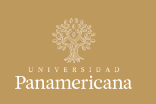 ICFAD1's tweet photo. The International Symposium will include in-person discussions with executive arts administrators at Universidad Panamericana, a private institution with leadership supporting artistic opportunities to improve human dimension and cognitive skills through the fine arts https://t.co/B0644t1nh2