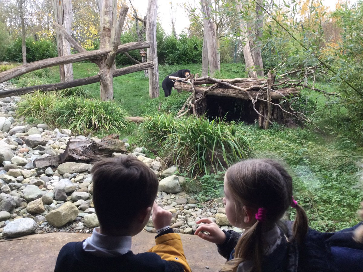 GA_Bury's tweet photo. Year 2 enjoyed their trip to Chester Zoo. We saw lots of animals 🐅 🦒 #ScieneEdGA #Year2GA #WorldScienceDay https://t.co/nt39XceapM
