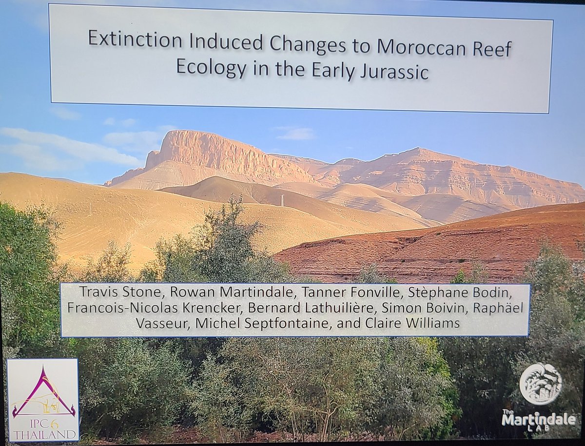 Dr. Travis Stone tweet media