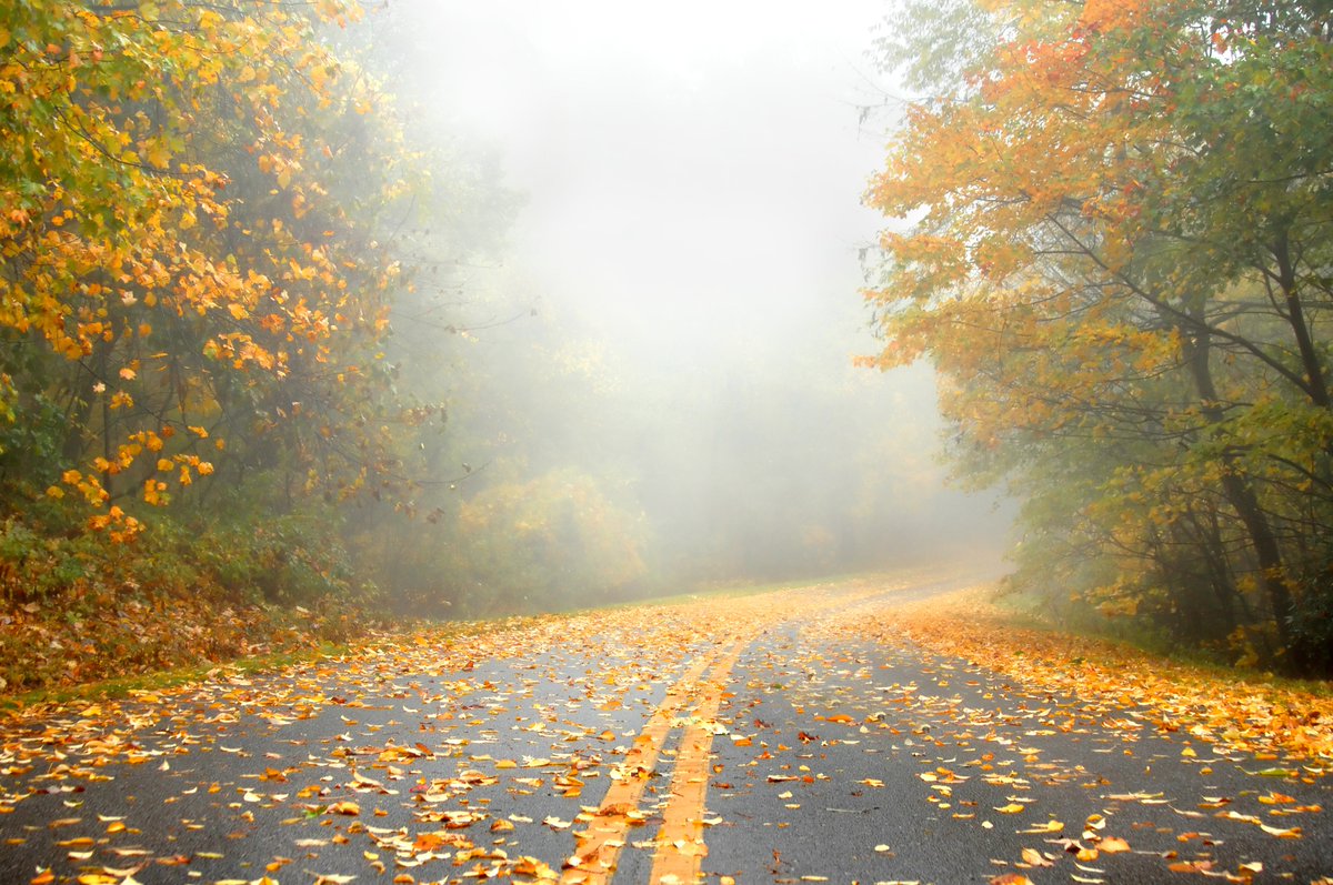 Falling leaves + rain + wind = slick roads.

They may be beautiful, but when you see leaves on the road, #SlowDown &amp; be-leaf 🍂 us when we tell you that those wet leaves can be as slick as ice. #HurricaneNicole