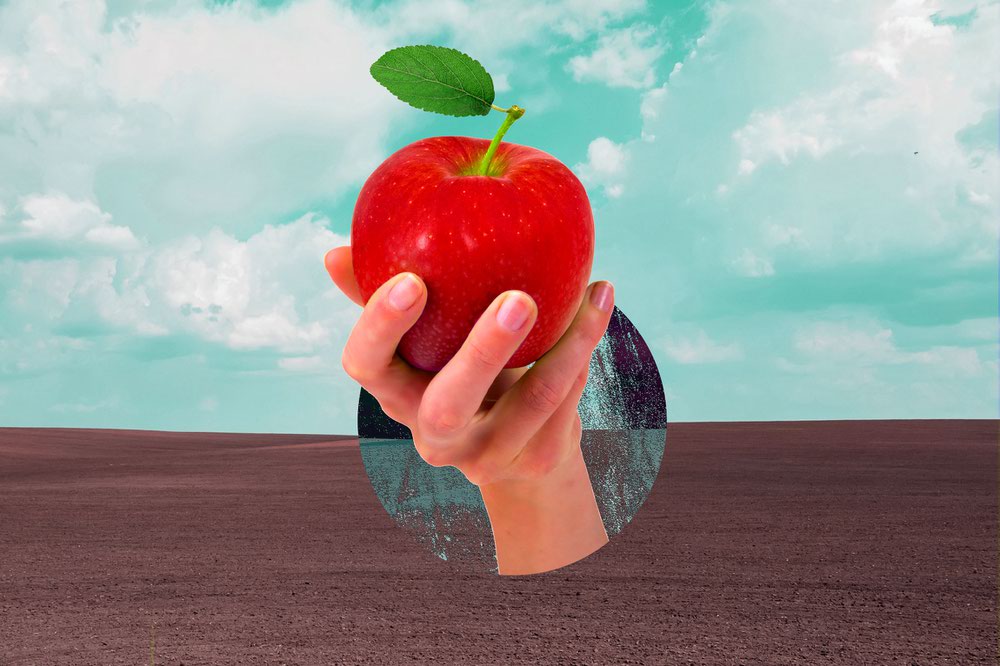 threesquareLV's tweet photo. ICYMI: Three Square’s Director of Strategic Initiatives, Dr. Lisa Segler, spoke with the @lasvegasweekly about the challenges vulnerable populations face in order to gain access to food 👉 https://t.co/OXqe6ciNDH. https://t.co/sZHH9T6J1w