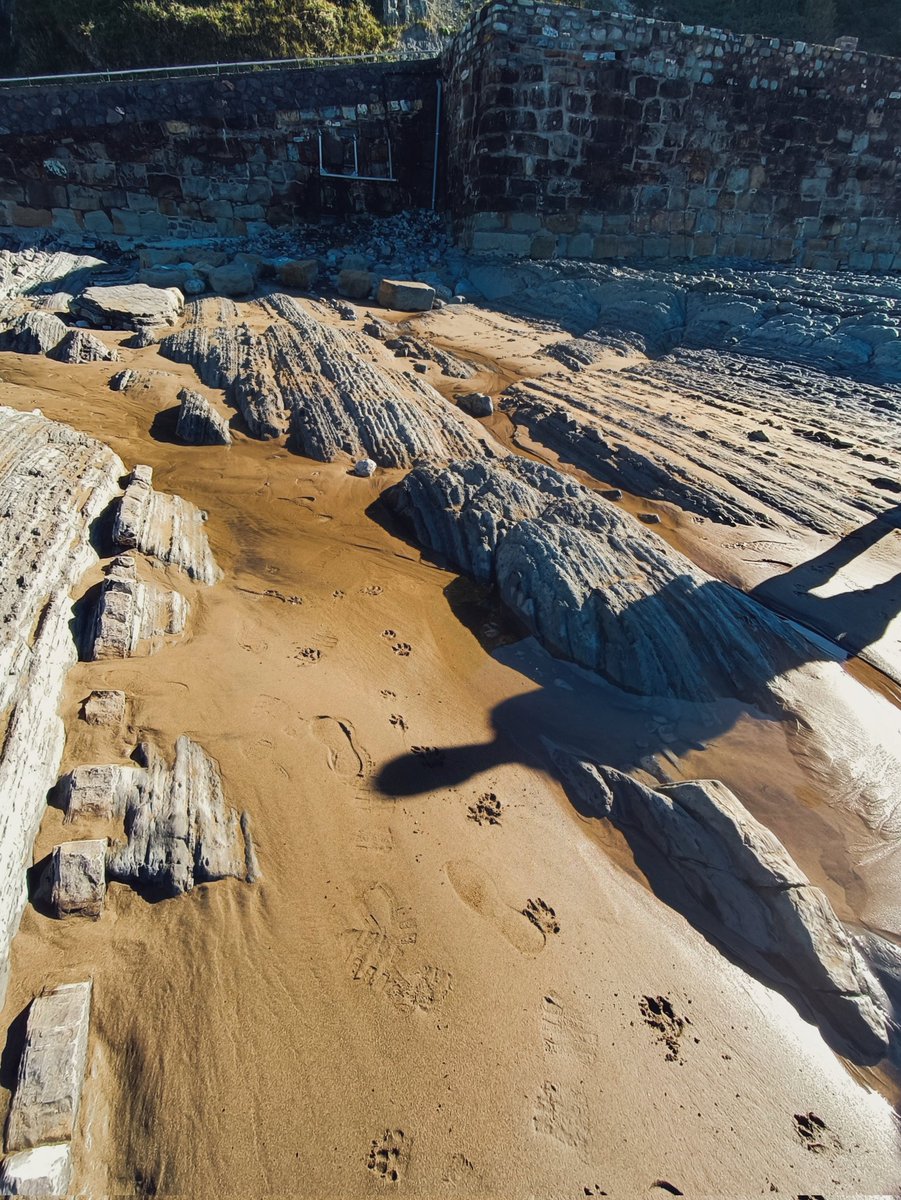 AlgorriZumaia's tweet photo. Egun hauetan, itsaso zakarrak liburuko orrialdeak azalarazi ditu hondar azpitik. #Flyscha #itzurun #goldenspike https://t.co/zHLooKreif