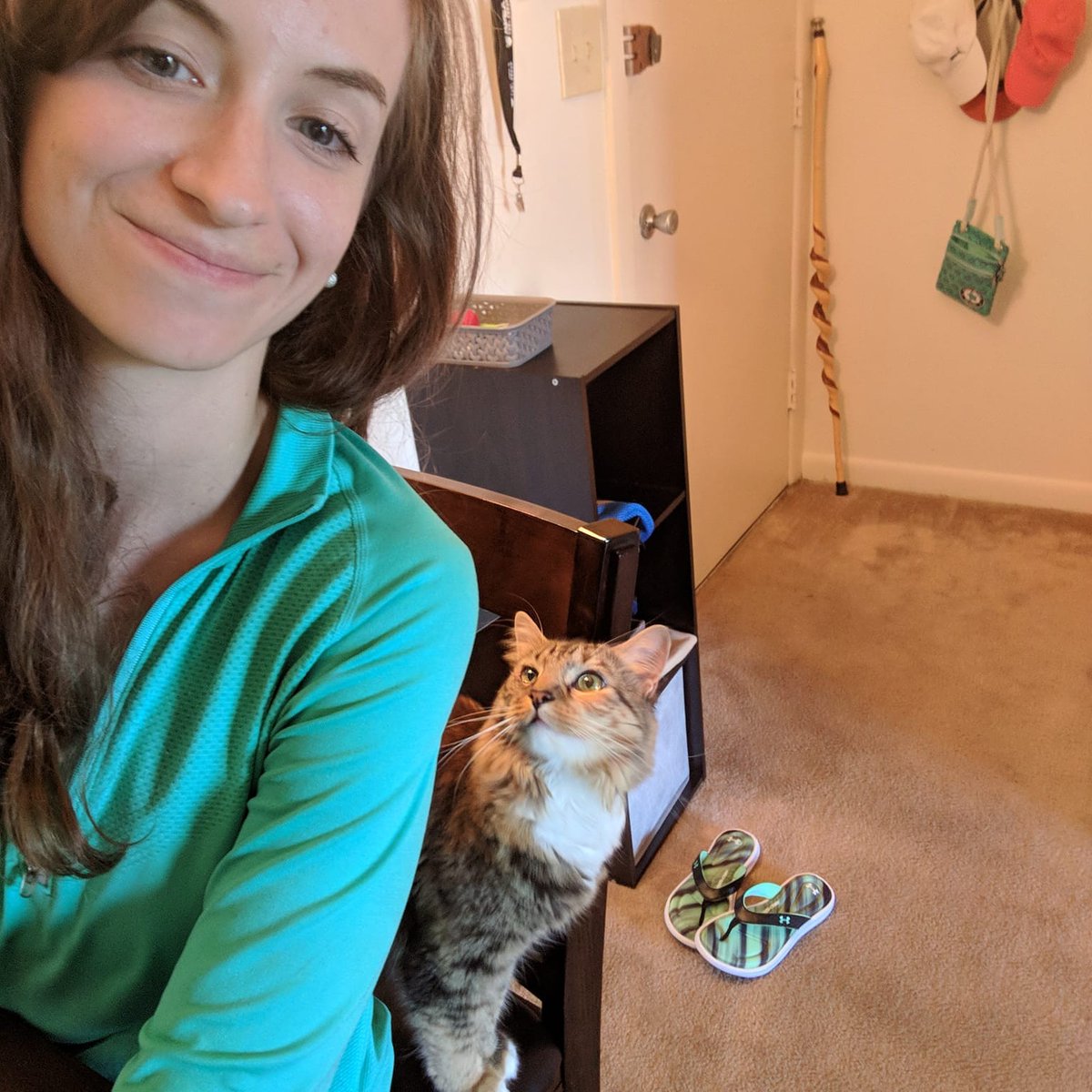 bmorehumane's tweet photo. We LOVE hearing from our adopters! Vicki wrote, "Tuesday was Artie's gotcha day!! 5 years ago this week picked up our floofy girl and she has been blessing us with her beauty ever since 💕" Is your furkid a #BaltimoreHumane alum? Join the #BHSAlumniClub FB page and share! https://t.co/CeGhg1Vg94
