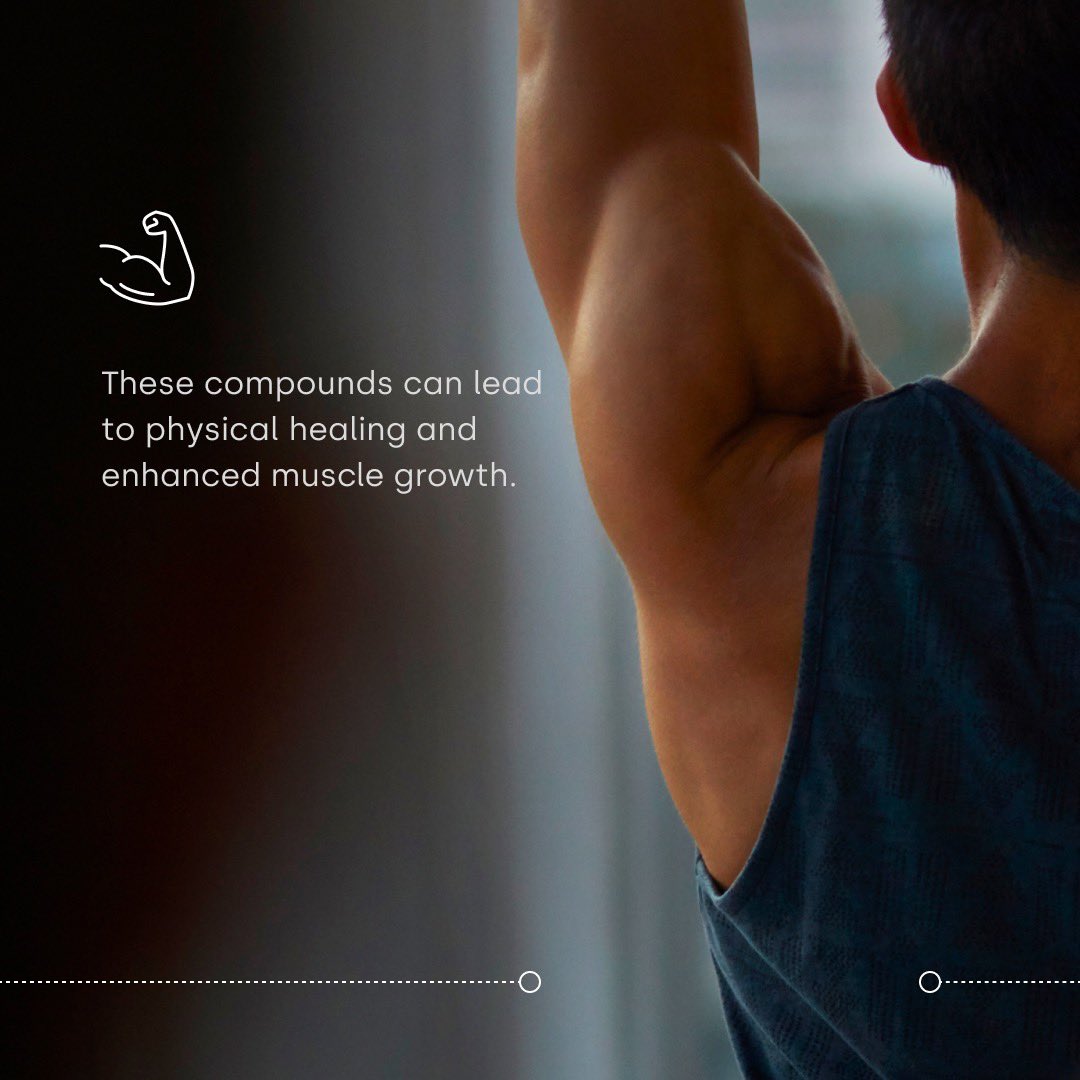 FOXO LIFE tweet media