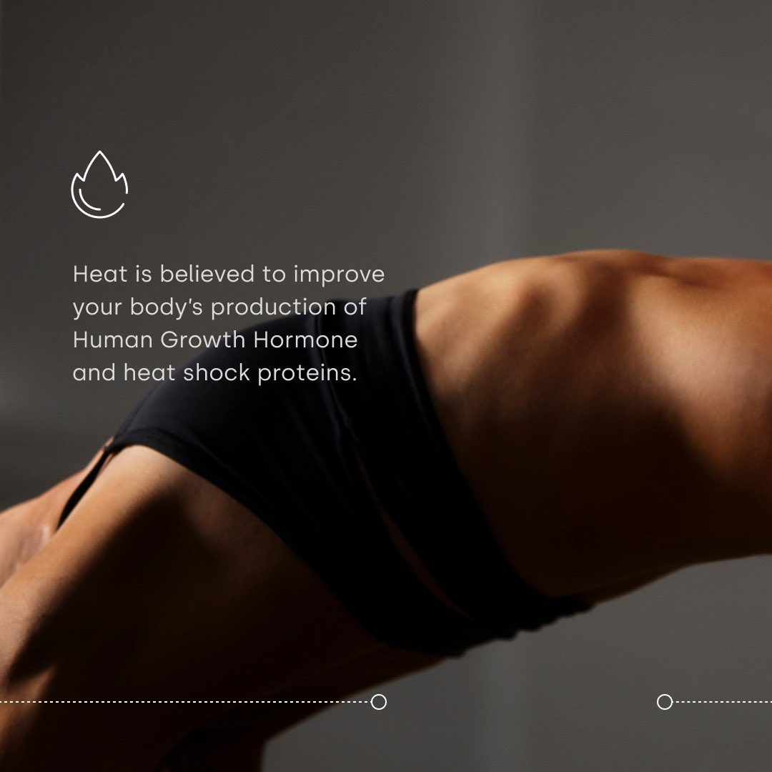 FOXO LIFE tweet media