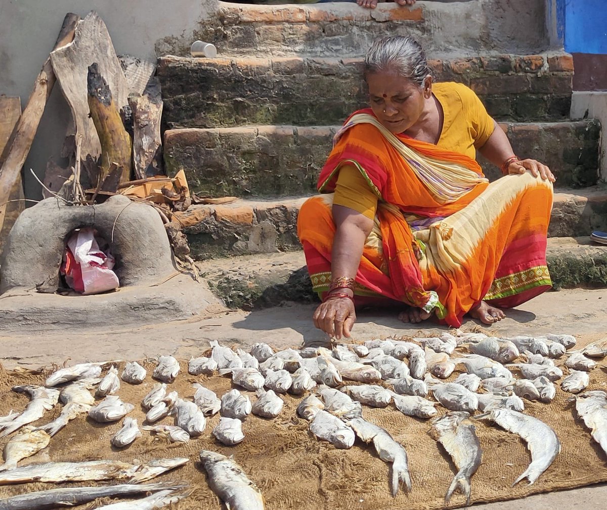 SAWMSisters's tweet photo. SAWM-UNICEF fellow Rajashree Sahoo reporting from #Penthasahi in #Puri on effect of working with dry fish on their and the children’s health  #Odisha. @SAWMSisters @UNICEFIndia #YoungWomenJournalistMentorshipProgramme #WorkingWomenAndTheirChildren https://t.co/gKWfgvYEJu