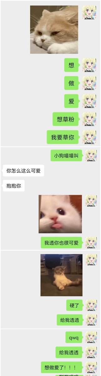 查询精神状态：

（ps：大家，双十一快乐！） https://t.co/ytkgiifmbb