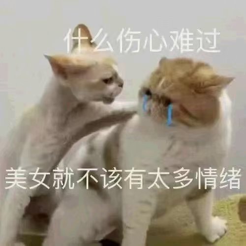 查询精神状态：

（ps：大家，双十一快乐！） https://t.co/ytkgiifmbb